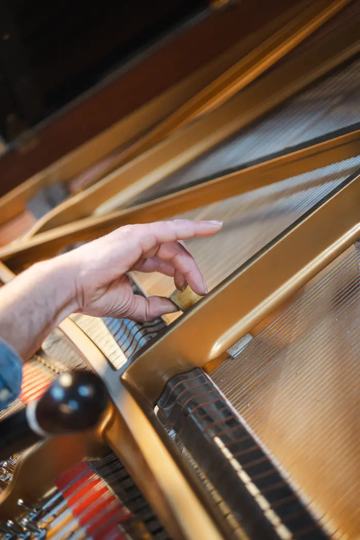 Détail des cordes intérieures du piano Steinway — Studio Jardin Musical Bruxelles
